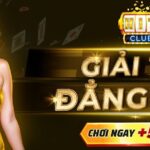 Những lưu ý cần nắm về domain Hitclub ltd được cung cấp